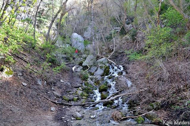 Waterfall along the Ferguson Canyon Trail