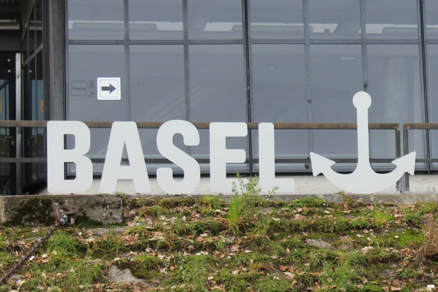 Back In Basel Sarah Tucker