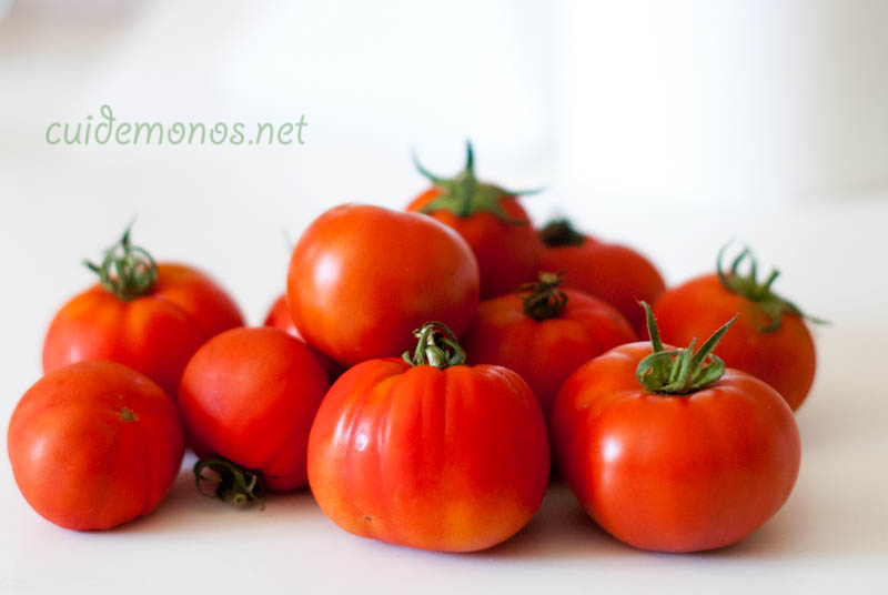 como hacer un macetohuerto