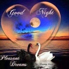 good night wishes images