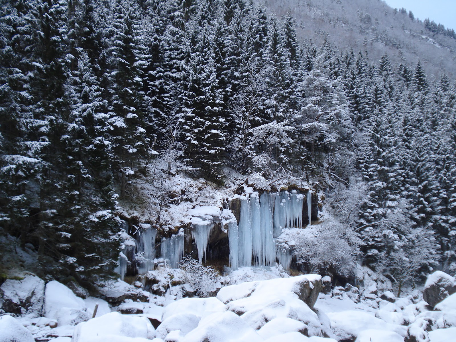 De Bobslee.: Witte kerst. 