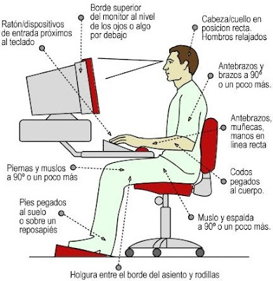 bona postura