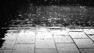 blog-mania.ro postare Vis Si Poezie