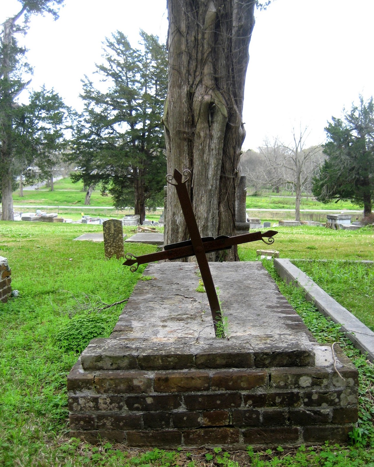 Living Rootless Washington, Louisiana Cedar Hill Cemetery
