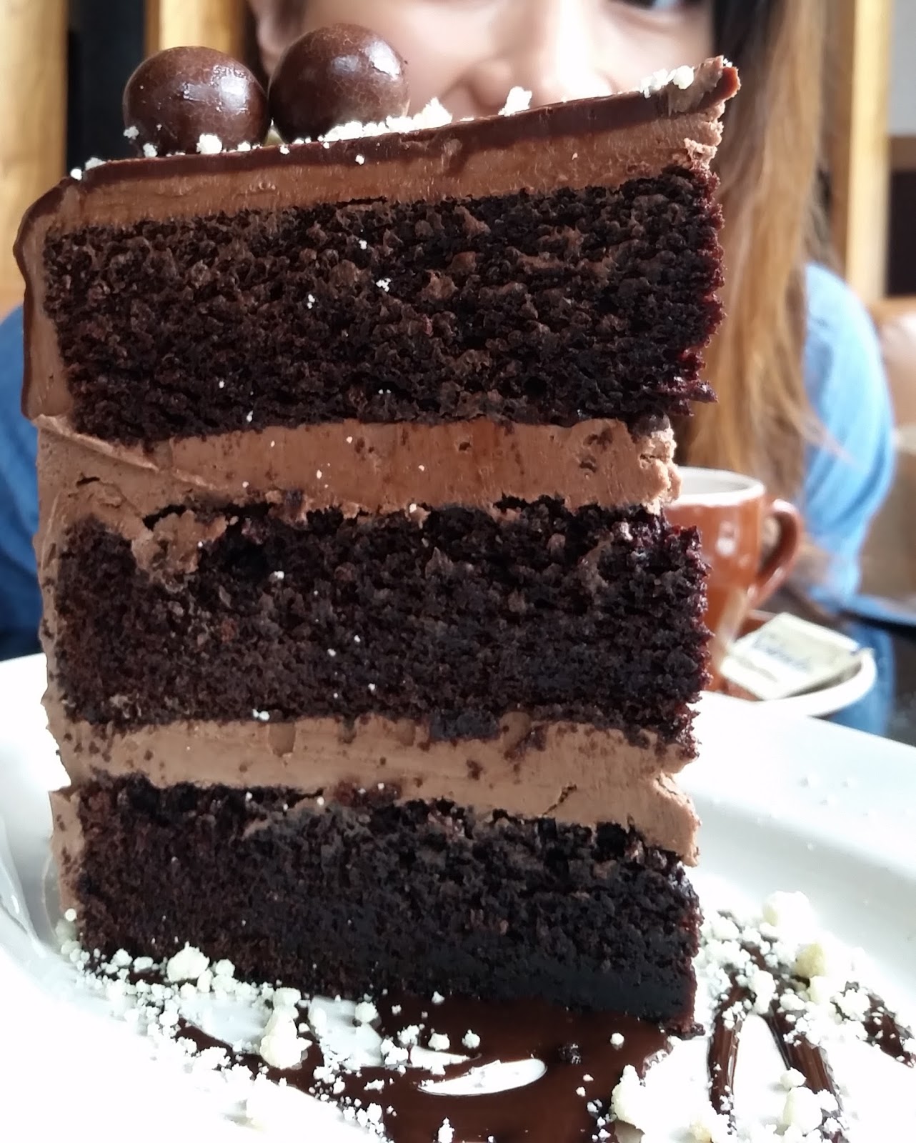 You Can T Have Your Cake And Eat It Too Explanation You Can T Have Your Cake And Eat It Too Explanation