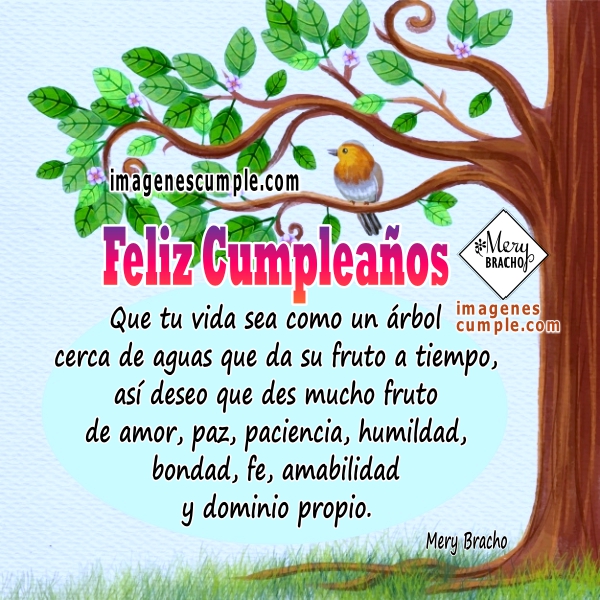 Feliz Cumple Con Frases, Feliz Cumpleaños Bendiciones