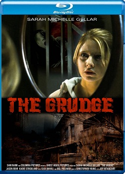 The Grudge 2004 Hindi Dual Audio 480p BRRip 300mb