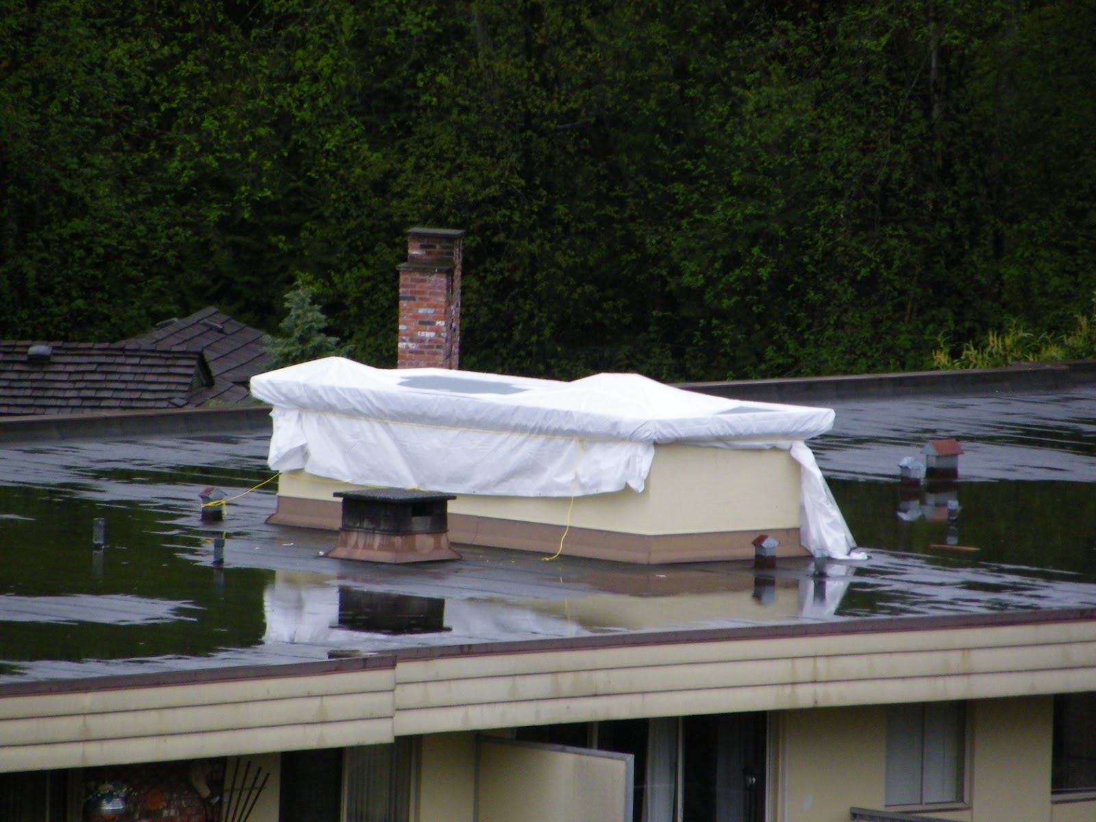 RAY'S BLOGGING AGAIN ! Their elevator shaft roof is leaking...