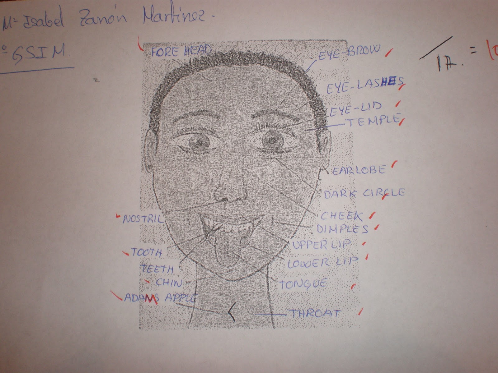 1GSIM Maribel Zanón: Parts of the face