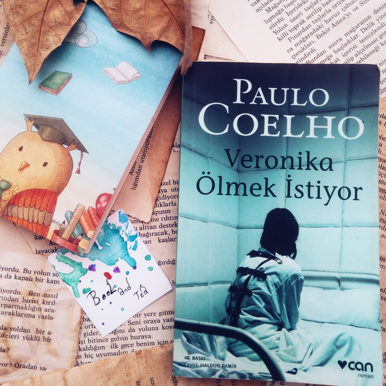 Aslihan In Dunyasi Kitap