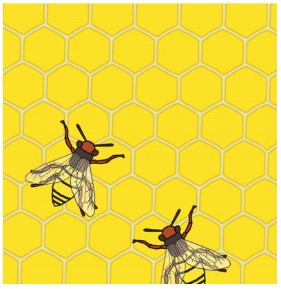 Bangun Datar Segi Banyak Halaman 18 Belajar Kurikulum 2013