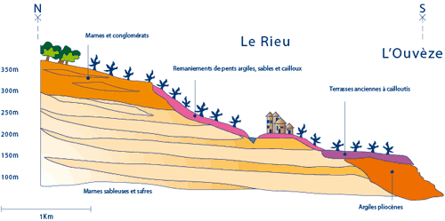 Cave De Ortas Rasteau Prestige 2009 Review