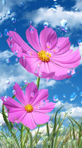 Download 100+ Wallpaper Bunga For Android HD Terbaru Download 100+ Wallpaper Bunga For Android HD Terbaru
