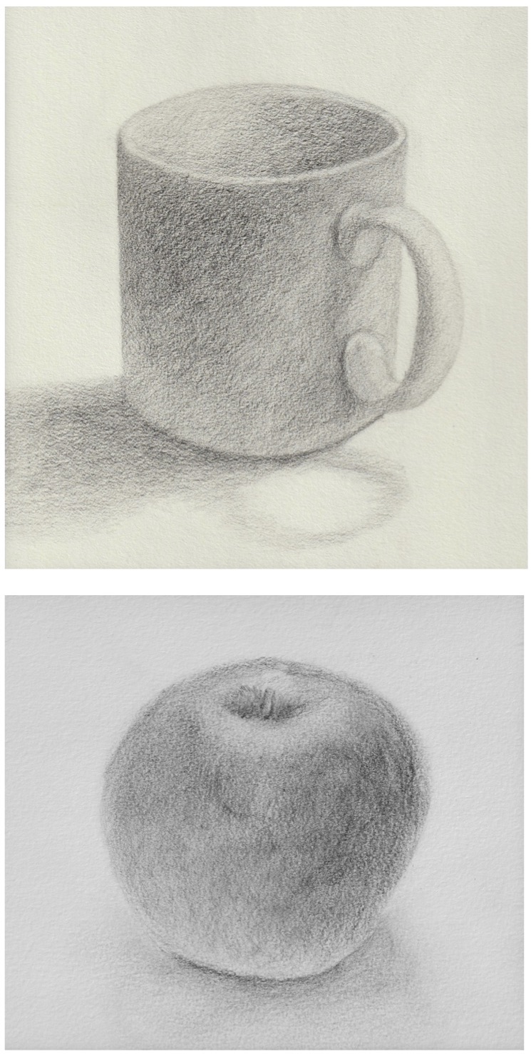 The Rolling Artroom: Beginning Drawing Projects (7th-12th grade)