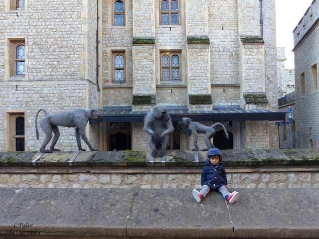 http://holidayswithhenry.blogspot.co.uk/2016/01/a-day-out-in-london-tower-of-london.html