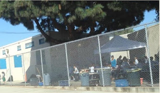 ICEF Vista Elementary Charter School Academy puts students at risk by using unsecured canopy on campus in violation of safety rules
