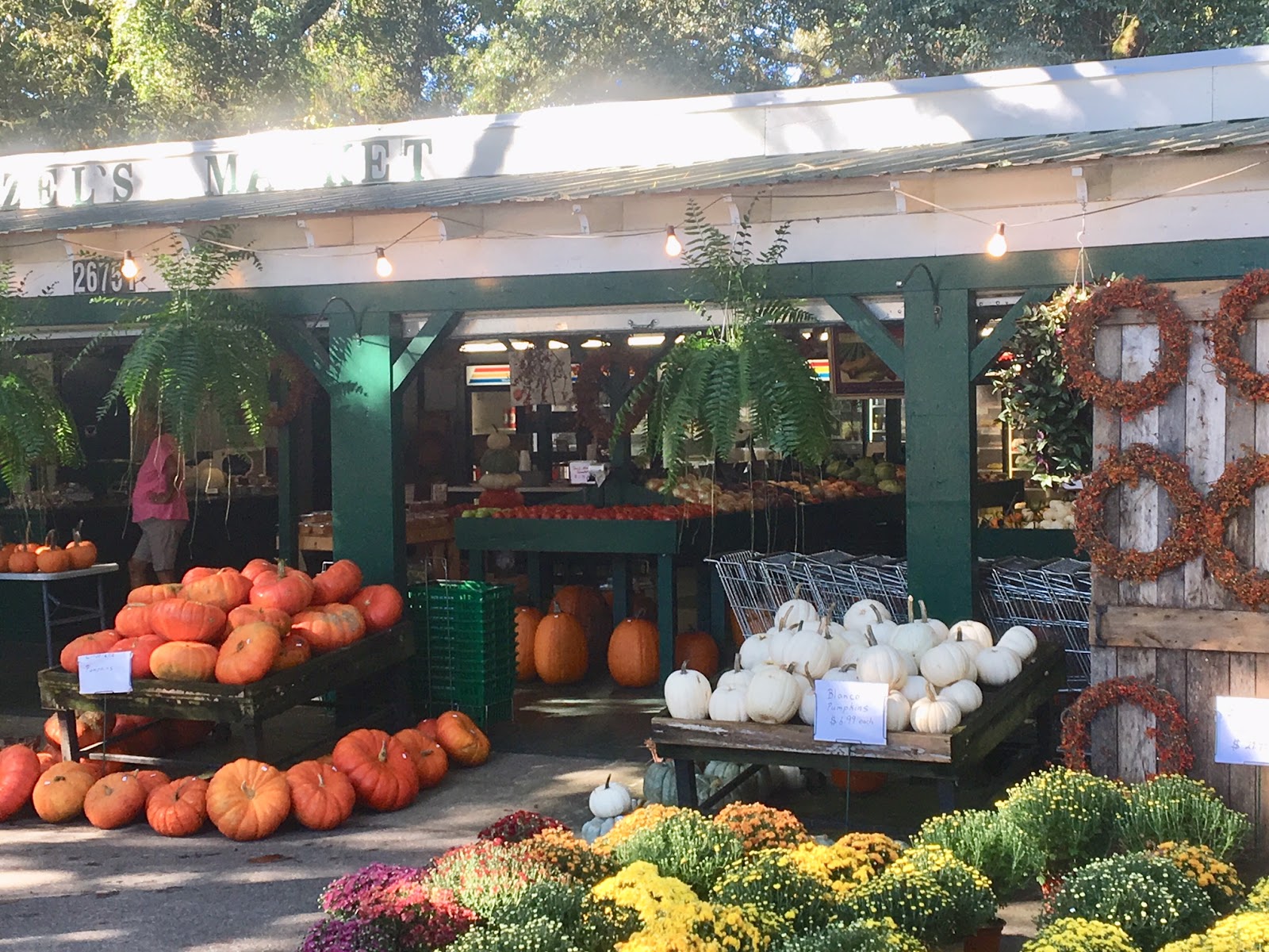 The Uptown Acorn Fall Breakin' {Hazel's Market Daphne, AL}