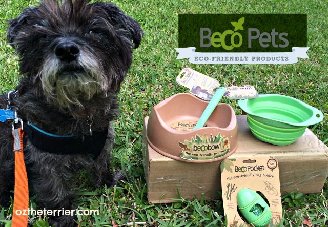Eco friendly dog accessories Clearance
