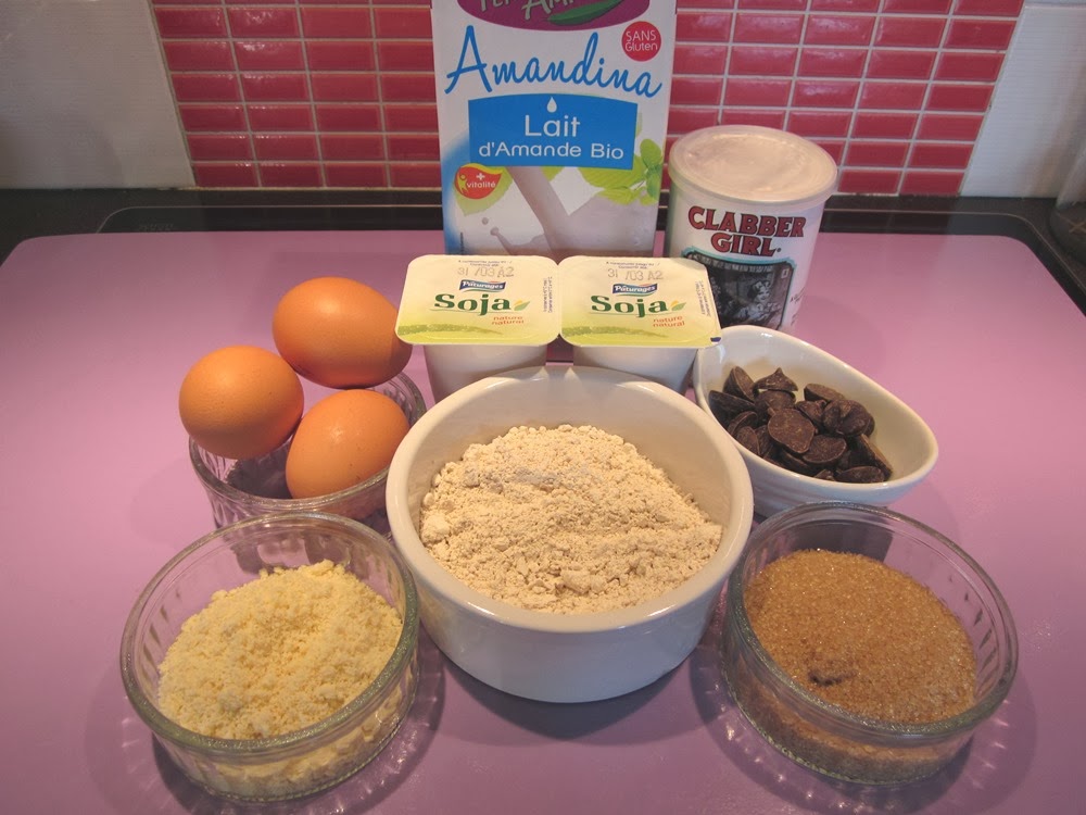 Pudding chocolat amande châtaigne, sans gluten et sans lactose Bien