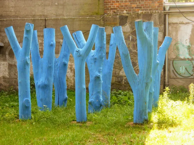 Things to do in Gdansk Poland: Look for art like these blue trees