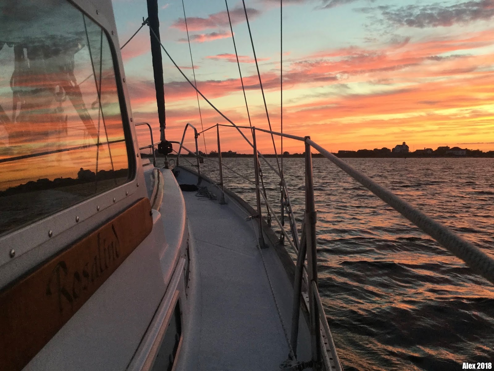 Rosalind Bumper Boats in the Night Post 5