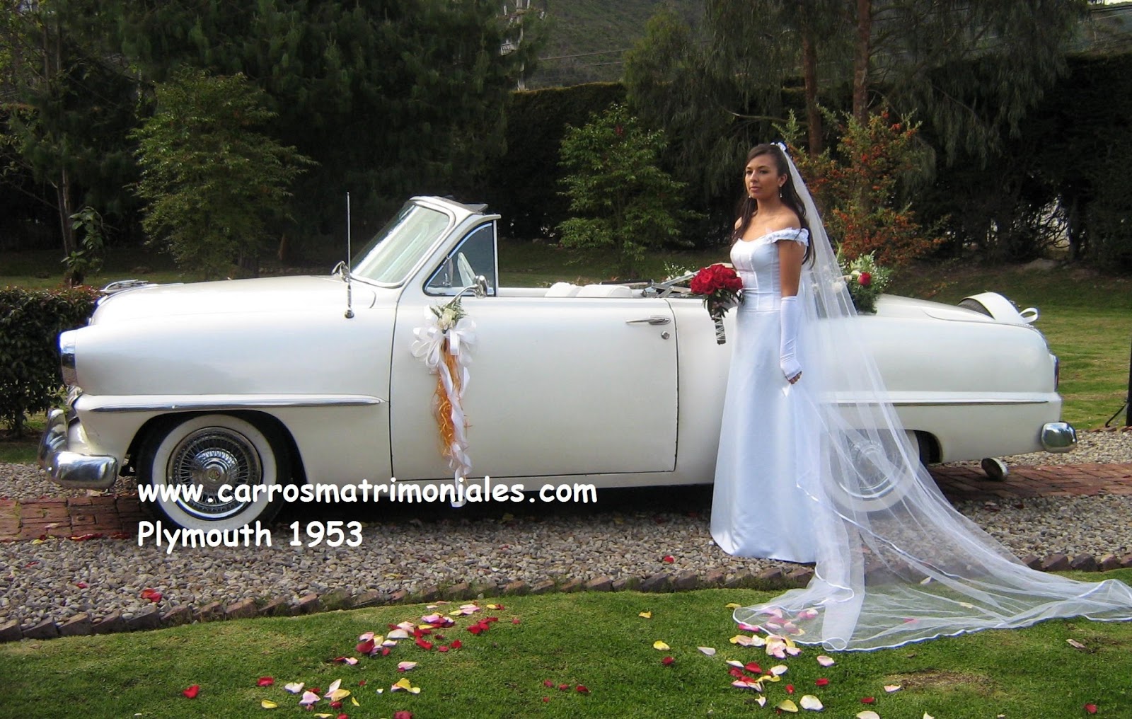 alquiler de vehiculos carros para matrimonios