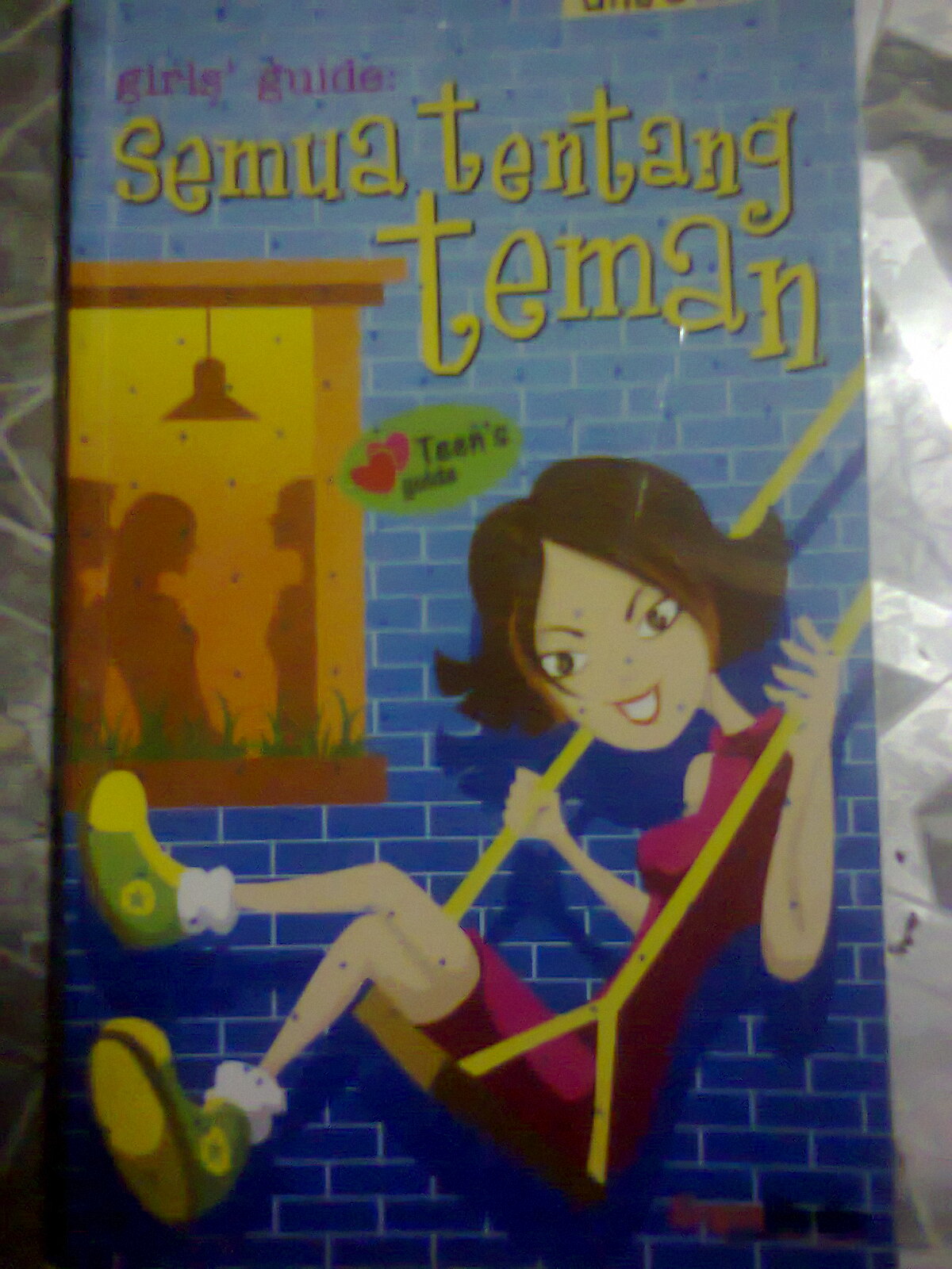 Sassy перевод. Girls guide to depravity. Girls guide to depravity. Modern girl перевод. A smart girls guide.