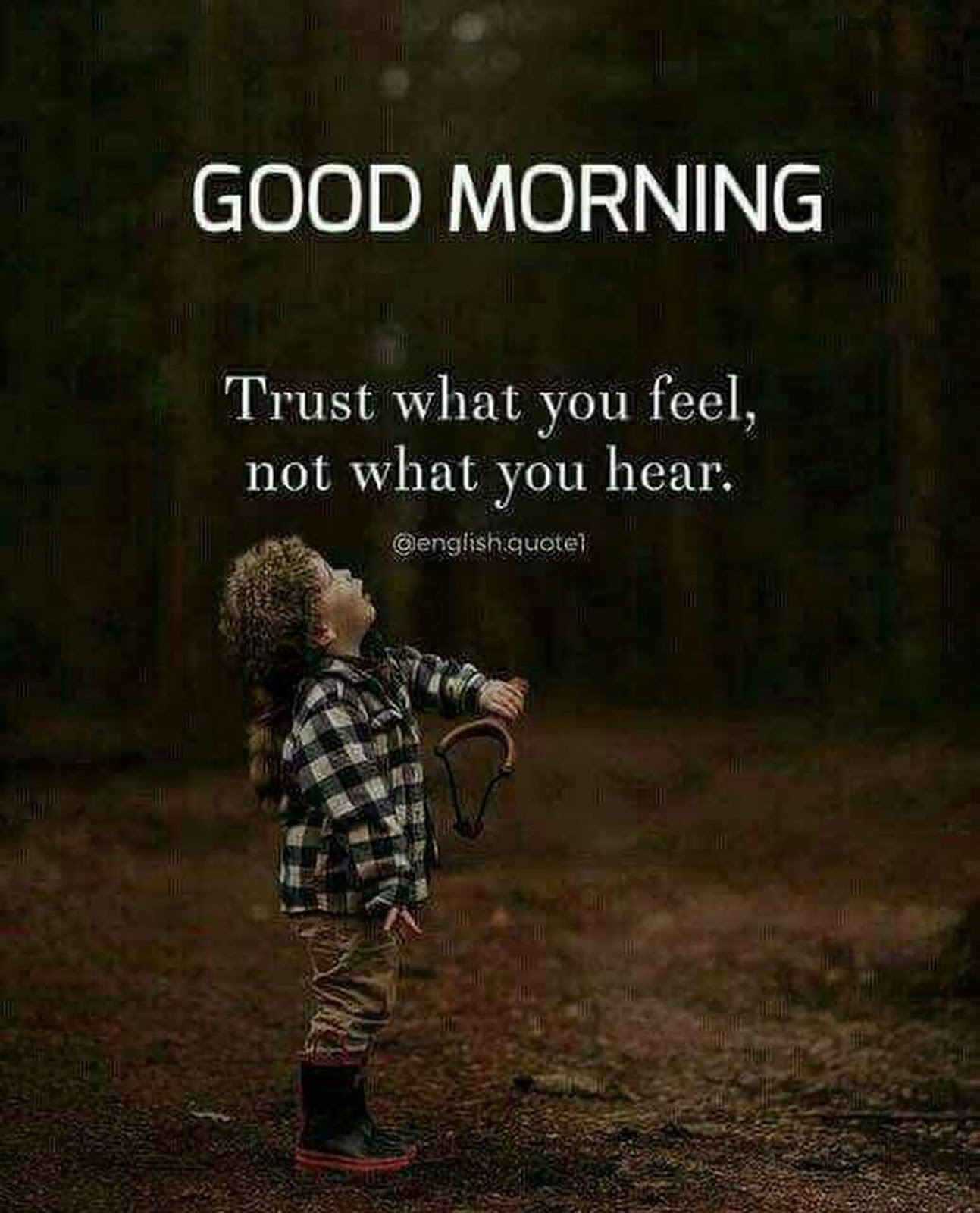 good night cute images