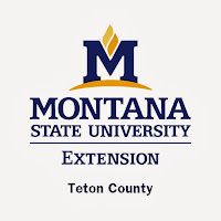 MSU Extension