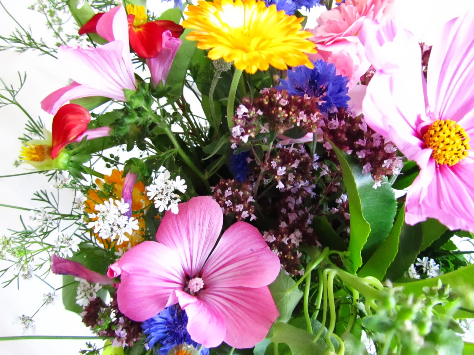 Het tuinhuisje van Roos Raak: Een bosje vrolijkheid