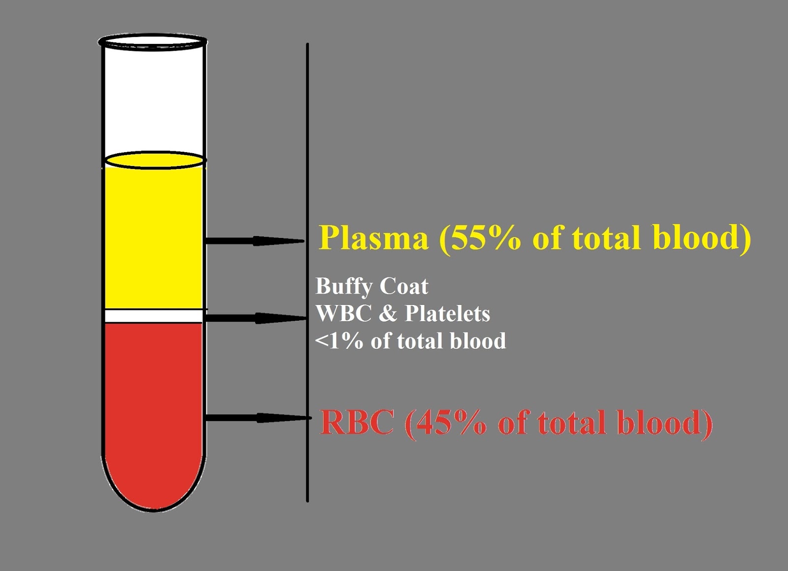 Separation of Serum & Plasma from blood centrifugation Medical Laboratory Technology
