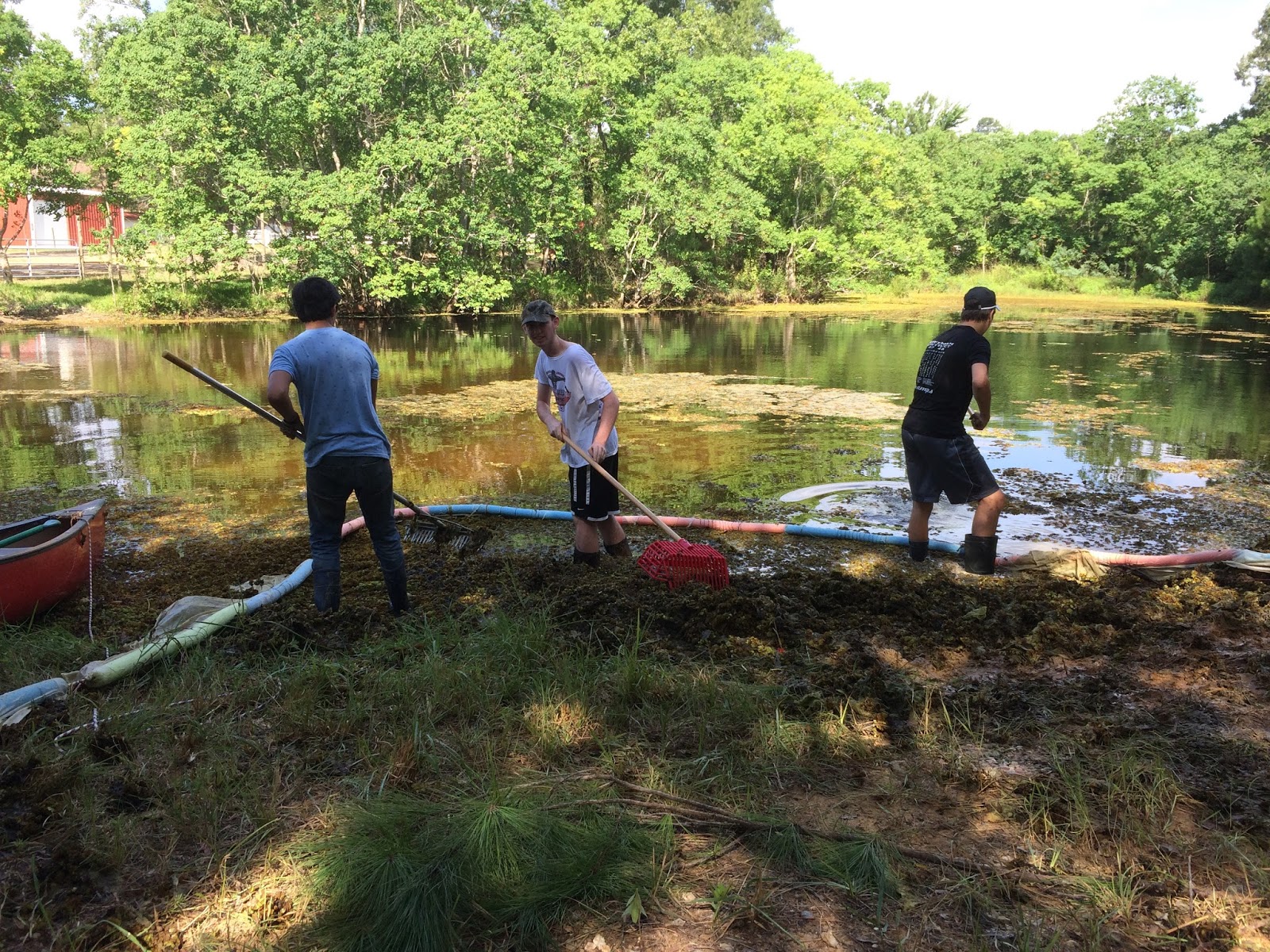 heitjer Removing Pond Scum