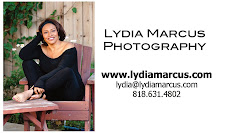 email me: lydia (at) lydiamarcus.com