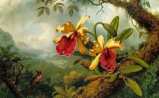 Paisajes Flores Orquideas Pintura Oleo