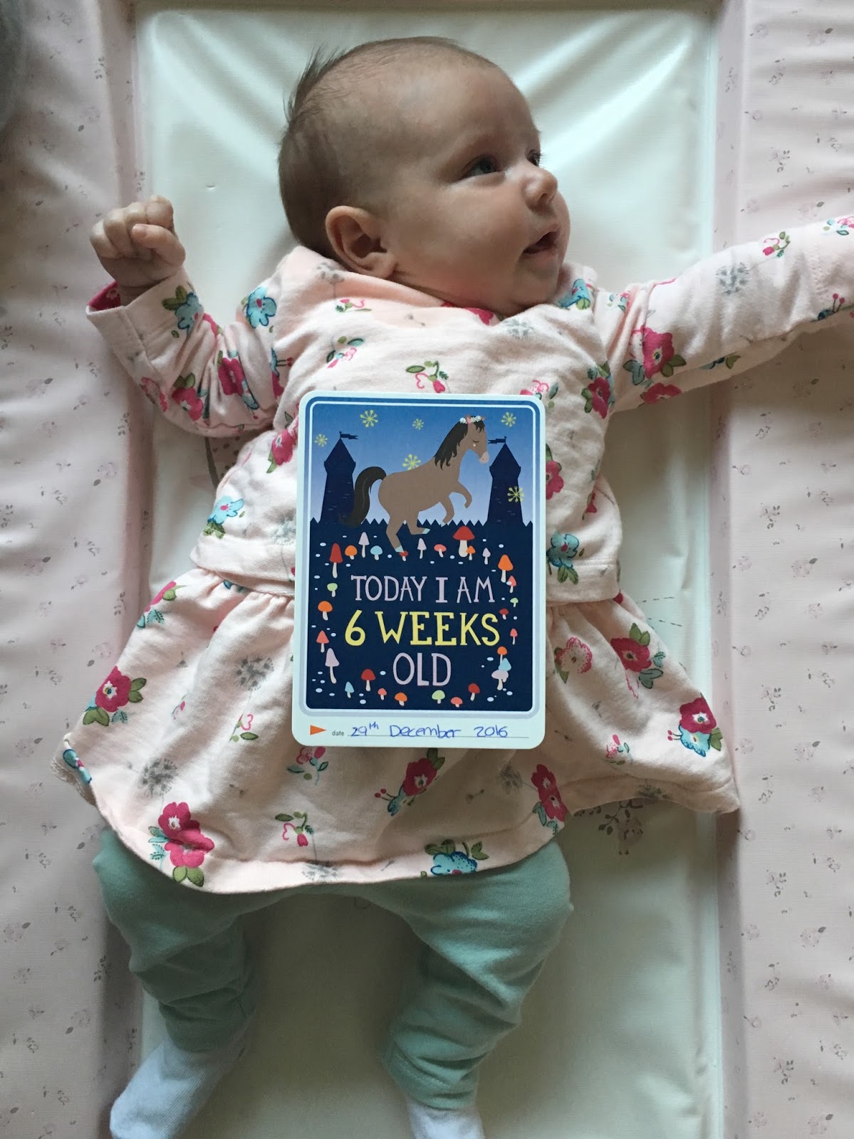 life through my eyes harleigh 6 weeks old size of baby at 6 weeks