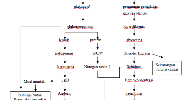 ulkus diabetes mellitus