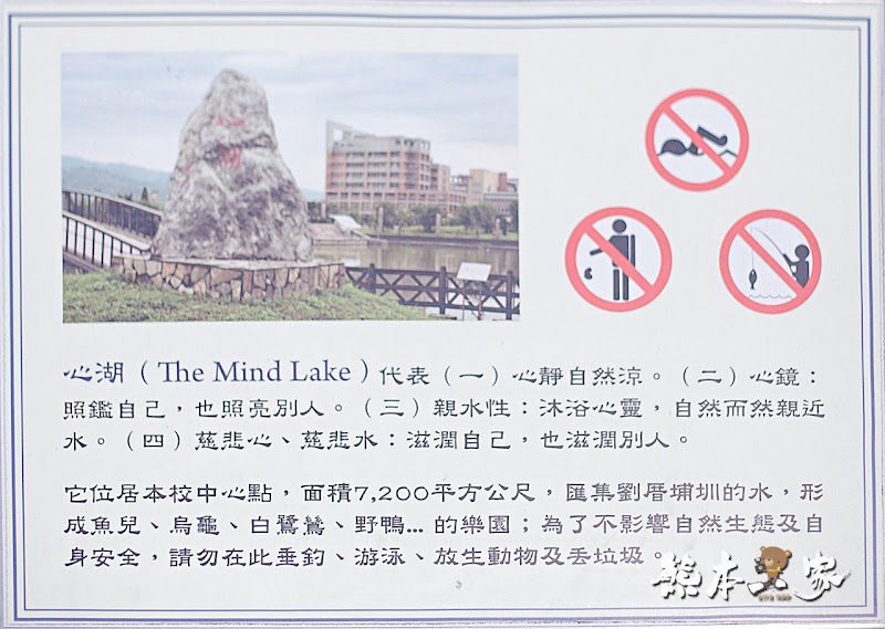 心湖櫻緣|三峽台北大學「心湖櫻花步道」-杜鵑、吉野櫻、木棉花齊綻放