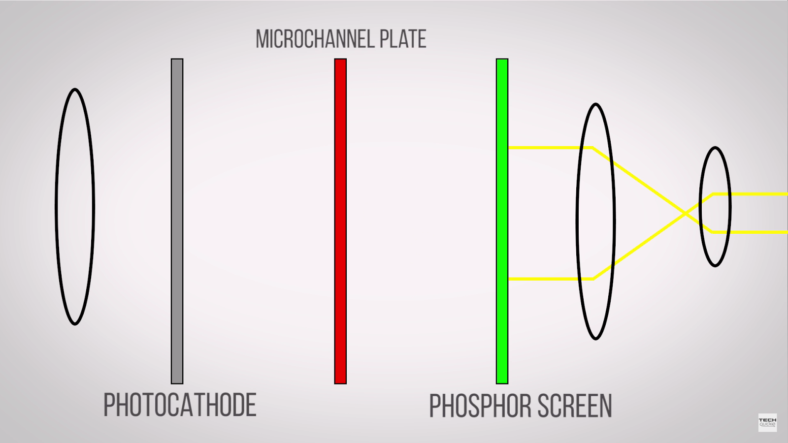 IT'S THE MIND How Does Night Vision Work? (La visione notturna) via