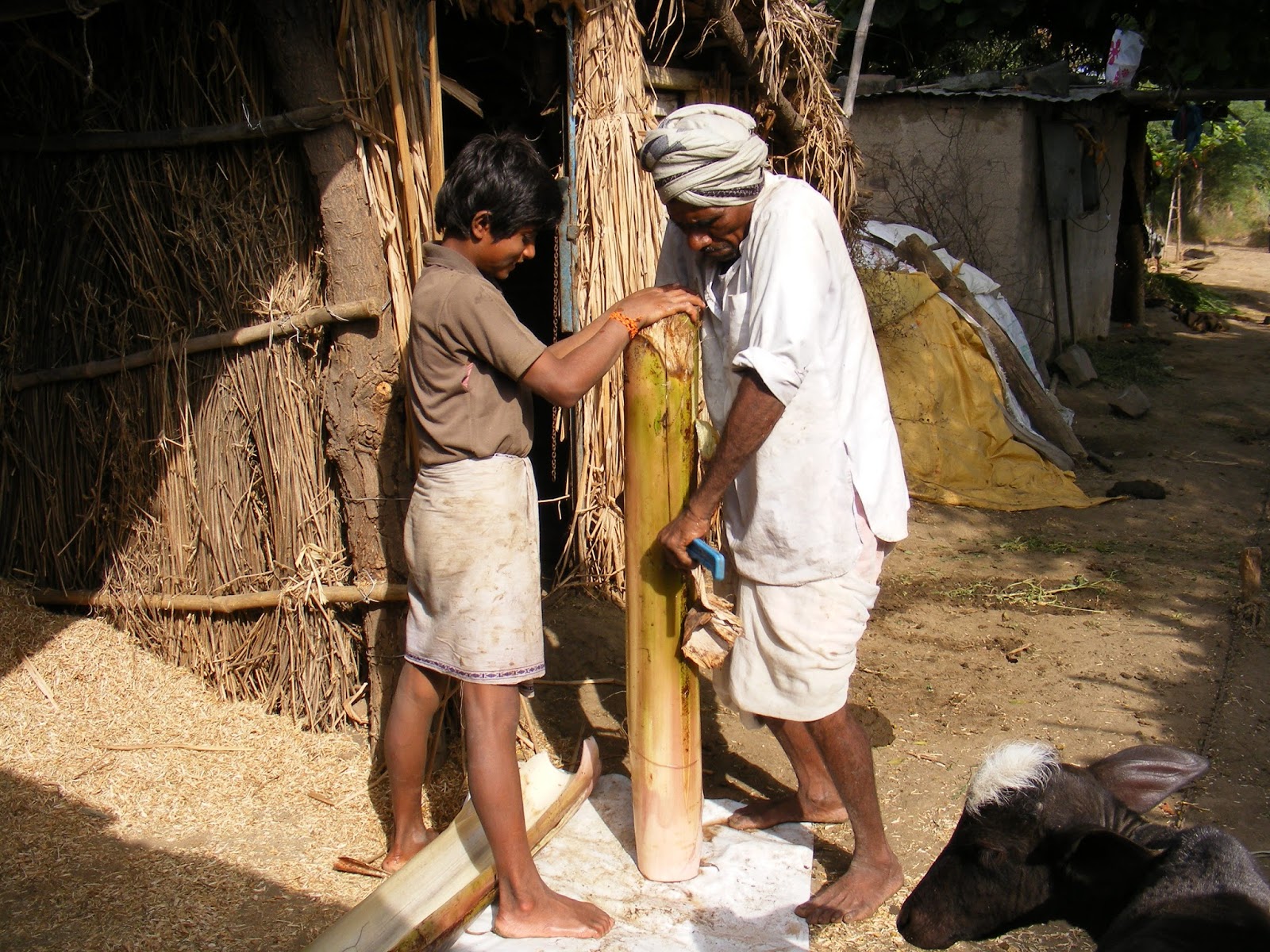 Eco Green Unit Banana fibre extraction project done by a Small farmer