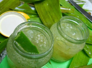 gel di Aloe Vera