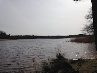 Frensham Little Pond