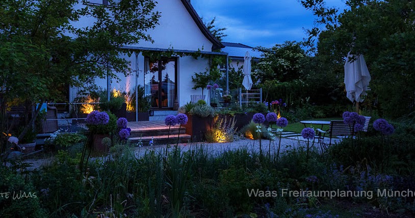 Gartenblog Geniesser Garten Robuste Rosen