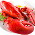 Lobster Health Info for Your Benefit