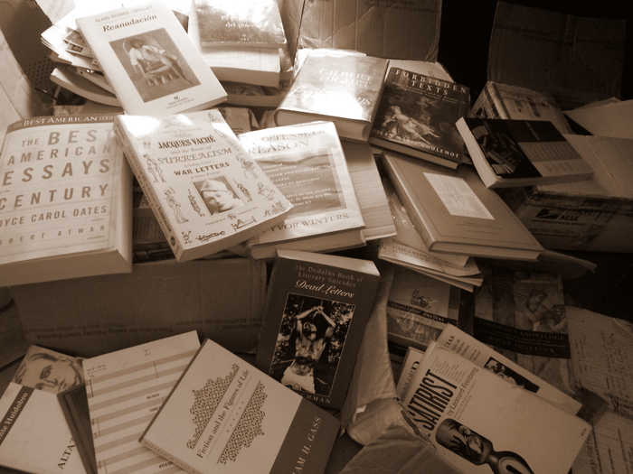 Mujer en Tierra Firme!!: Libros, libros, libros