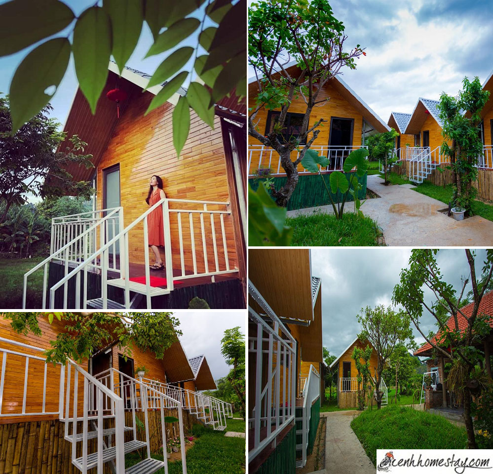 Pomelo Homestay: Mở mắt thấy bình yên, mát lành từng cơn gió