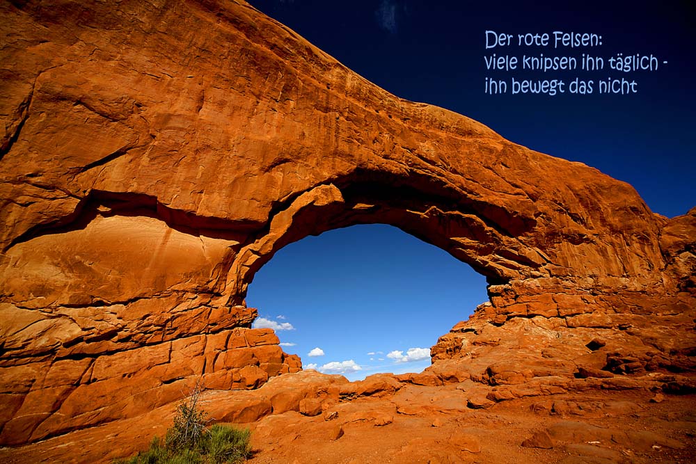 Kikimundo Kiki S World September 2016