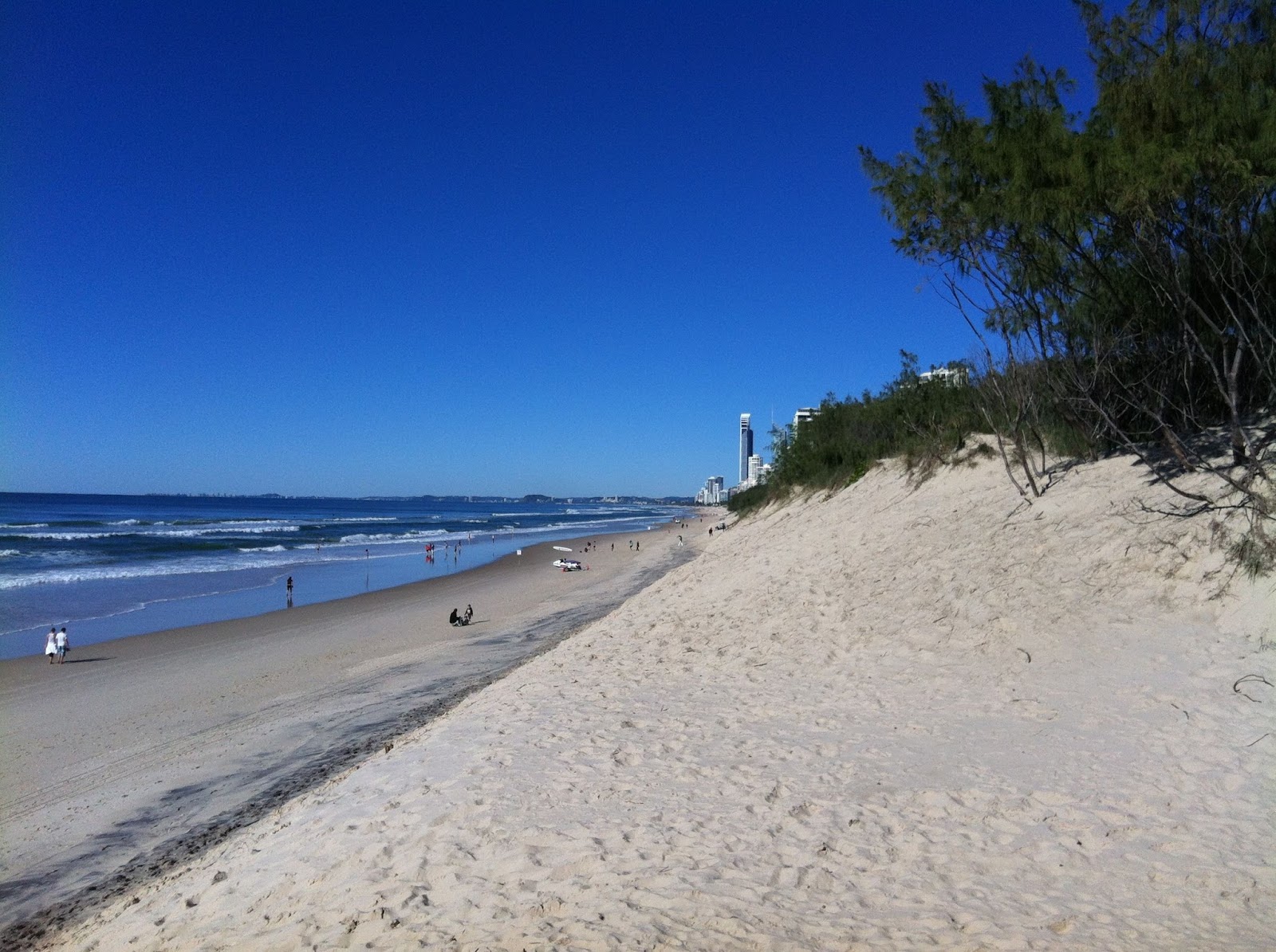 things to do in gold coast