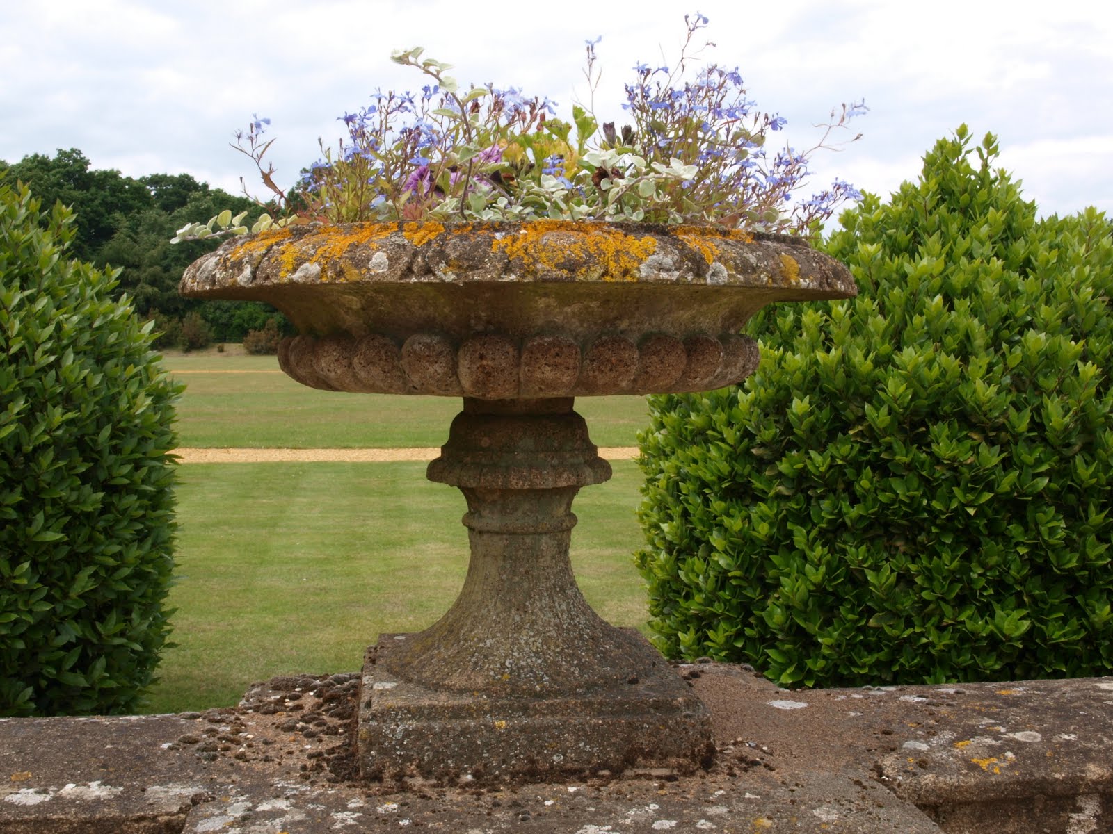 Ragged Robin's Nature Notes Osborne House and a Cream Tea at Ventnor