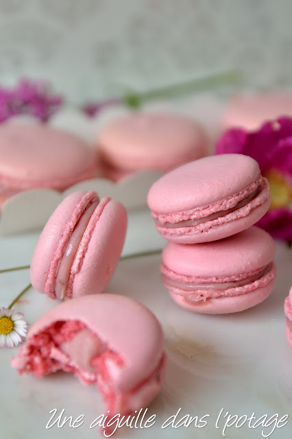 Macarons à la fraise de Christophe Felder