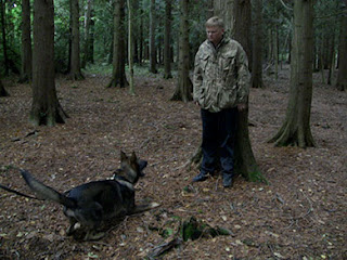 A dog barking at a man backed into a tree in a wood